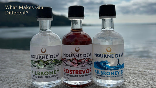 What Makes Irish Gin Different? A Guide to Botanicals, Distillation & Flavour