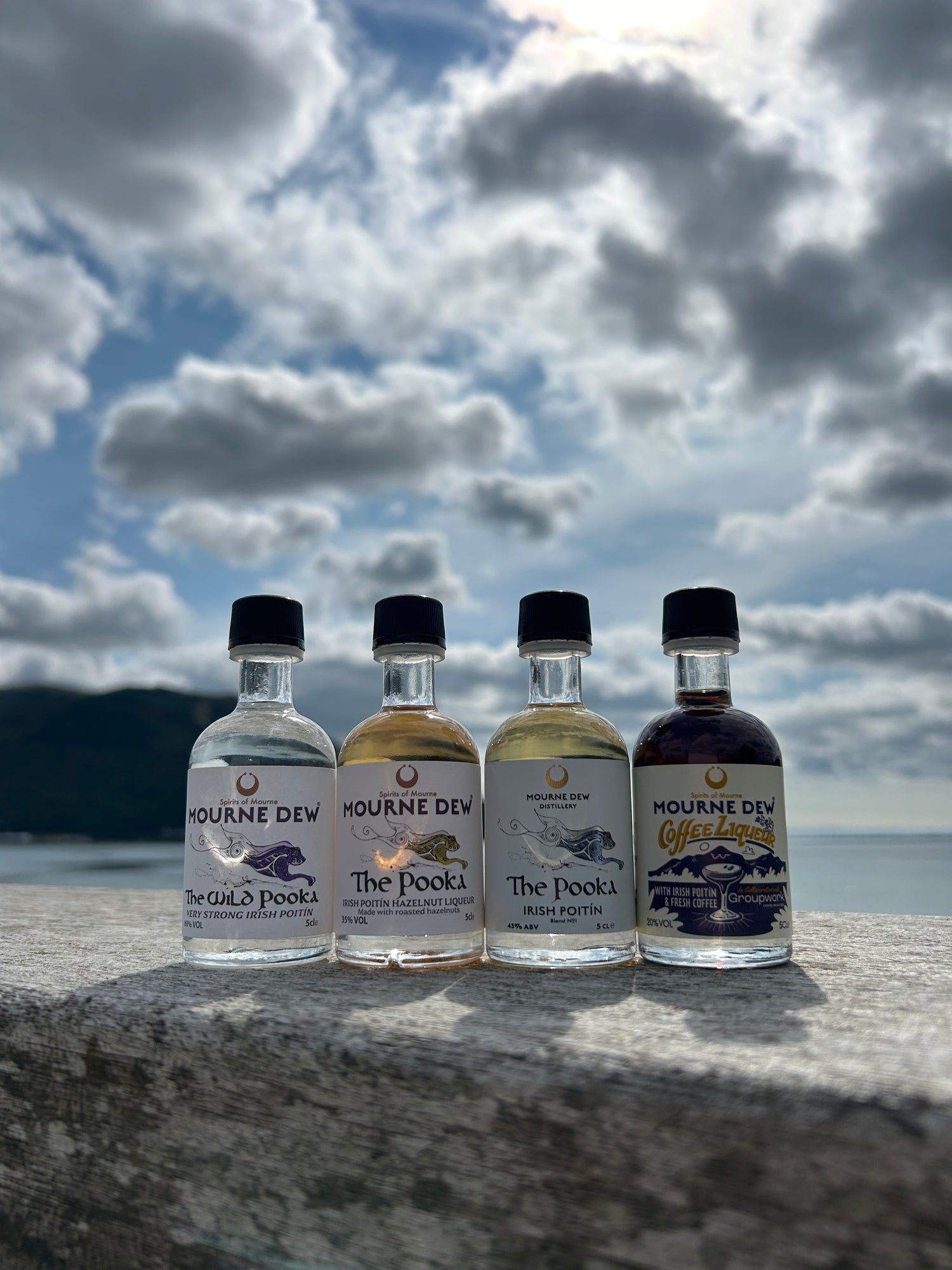 Poitíns
