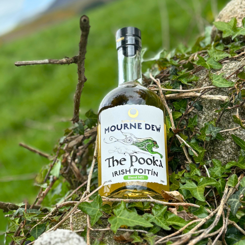 Bottle of Mourne Dew The Pooka Irish Poitin on a natural background with greenery.
