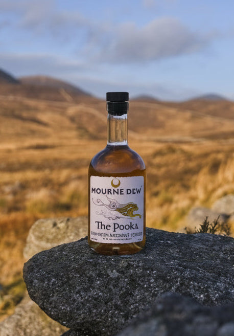 Bottle of Mourne Dew Poitín on a rock with a scenic background