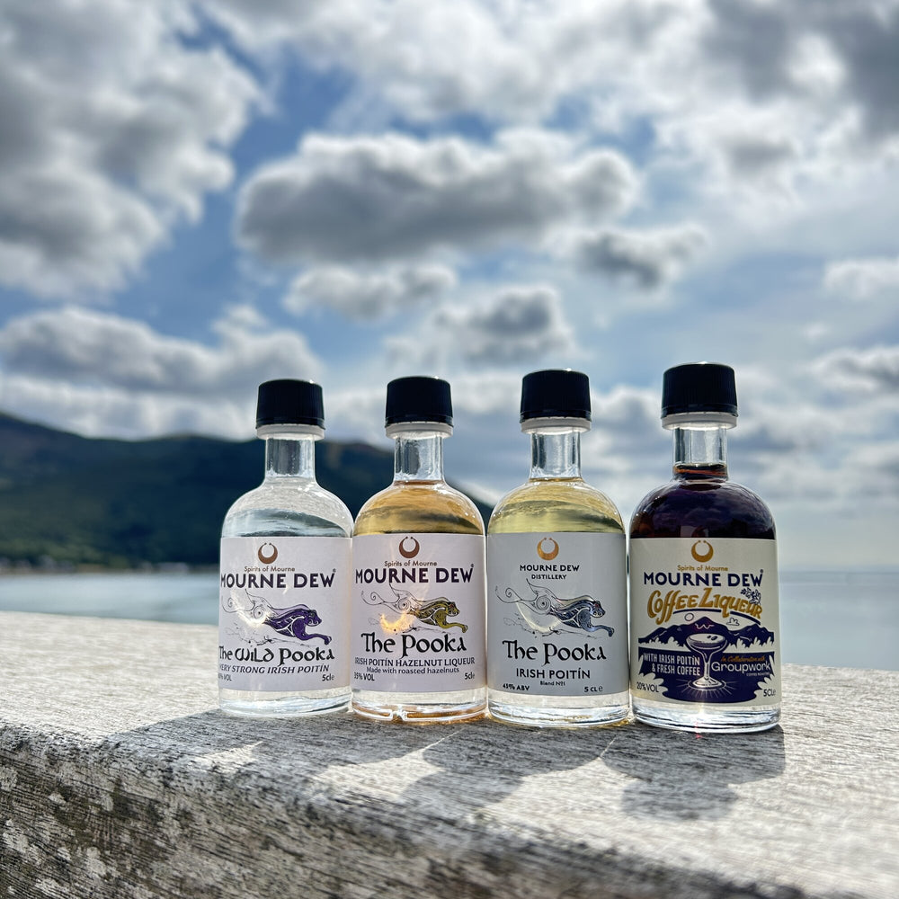 Four bottles of Mourne Dew spirits lined up on a stone ledge with a cloudy sky and water in the background. The bottles contain clear, golden, and dark liquids and feature labels for 'The Wild Pooka', 'The Pooka', 'The Irish Potin', and 'Coffee Liqueur'.