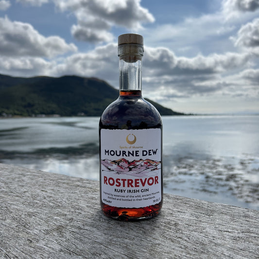 A bottle of Mourne Dew Rostrevor Ruby Irish Gin stands on a weathered wooden surface with a scenic coastal background of water, distant hills, and a cloudy sky.